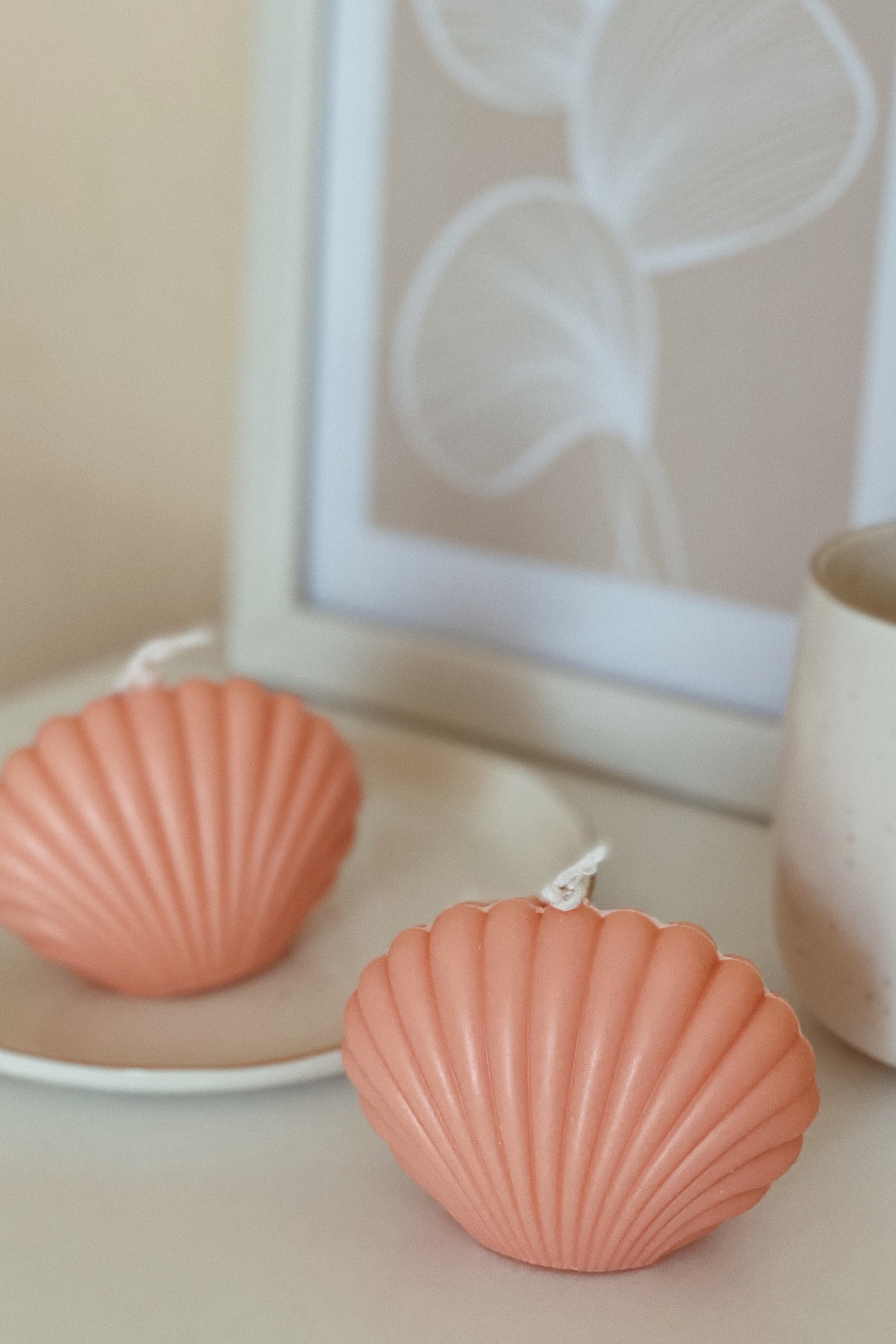 Scented Soy Decorative Seashell Candle Creamy Coconut